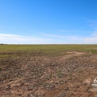 Kansas Farmland and Pasture Land Auction in Sumner County