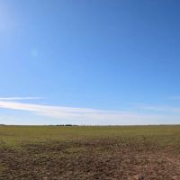 Kansas Farmland and Pasture Land Auction in Sumner County images 4