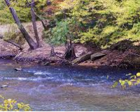 Duck Hunting Land Tishomingo State Park 45 acres in Tishomingo, MS images 2