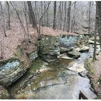Duck Hunting Land Tishomingo State Park 45 acres in Tishomingo, MS images 3