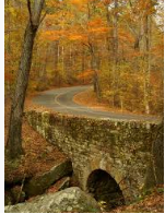 Duck Hunting Land Tishomingo State Park 45 acres in Tishomingo, MS images 6