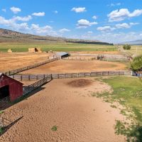 Four S Land Cattle images 4