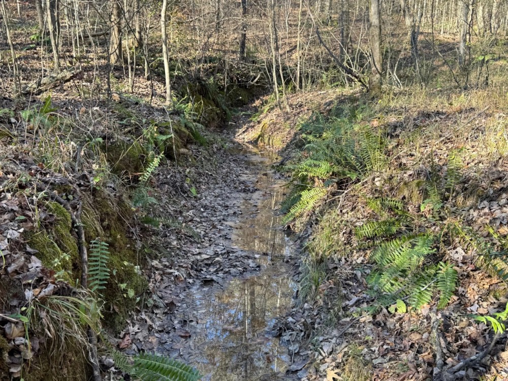 45.05 Acres in Benton County MS featured image