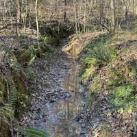45.05 Acres in Benton County MS