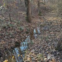45.05 Acres in Benton County MS images 5