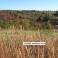 Woodbury Wildlife Area 19000 Acres of Deer Hunting in Coshocton, OH images 4