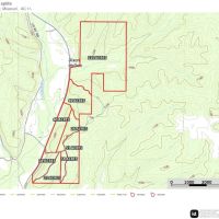 Land Timber 40 images 5