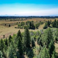 Spring Creek Ranch images 2
