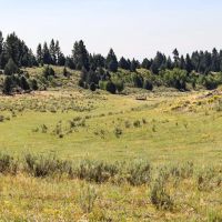 Spring Creek Ranch images 5