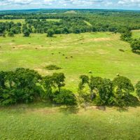 Mason Hilltop Ranch images 5