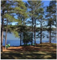 Trace State Park 565 acre Waterfowl Hunting Land in Lee, MS images 3
