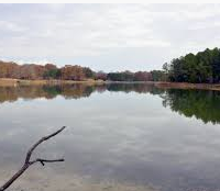 Trace State Park 565 acre Waterfowl Hunting Land in Lee, MS images 4