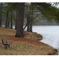 Trace State Park 565 acre Waterfowl Hunting Land in Lee, MS images 6