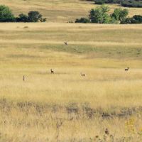 Pounds Ranch images 1