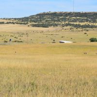 Pounds Ranch images 4