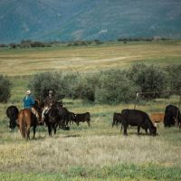 The Kuiper Ranch images 4