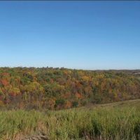 Wayne National Forest 240,101 Acres Deer hunting in Athens, OH images 3
