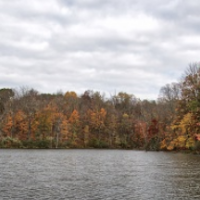 Wayne National Forest 240,101 Acres Deer hunting in Athens, OH images 4