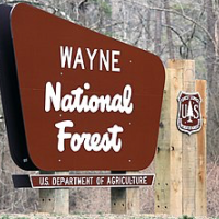 Wayne National Forest 240,101 Acres Deer hunting in Athens, OH images 5