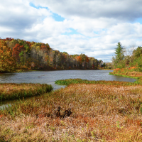 Wayne National Forest 240,101 Acres Deer hunting in Athens, OH images 6