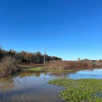 313.72 Acres in Bolivar County MS images 2