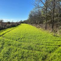 313.72 Acres in Bolivar County MS images 3