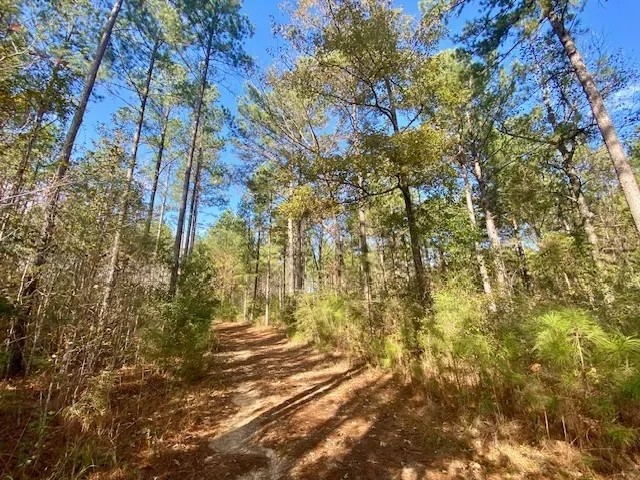 18.94 acres in Lincoln County featured image
