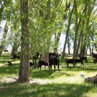 Saratoga North Platte River Ranch images 2