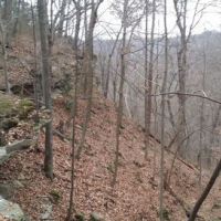 9,600 Acres Scioto Trail State Park for Turkey Hunting in Ross, OH images 4
