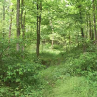 9,600 Acres Scioto Trail State Park for Turkey Hunting in Ross, OH images 3