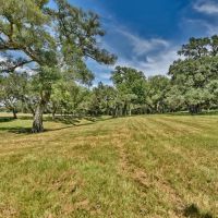 49.48 acres Weimar TX Colorado images 5