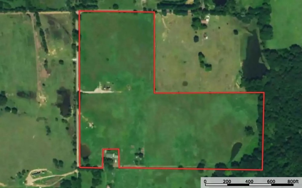 Pasture Land for Sale Quitman TX Near Lake Fork featured image