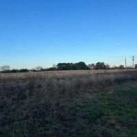 Pasture Land for Sale Quitman TX Near Lake Fork images 2