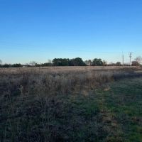 Pasture Land for Sale Quitman TX Near Lake Fork images 3