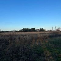 Pasture Land for Sale Quitman TX Near Lake Fork images 5