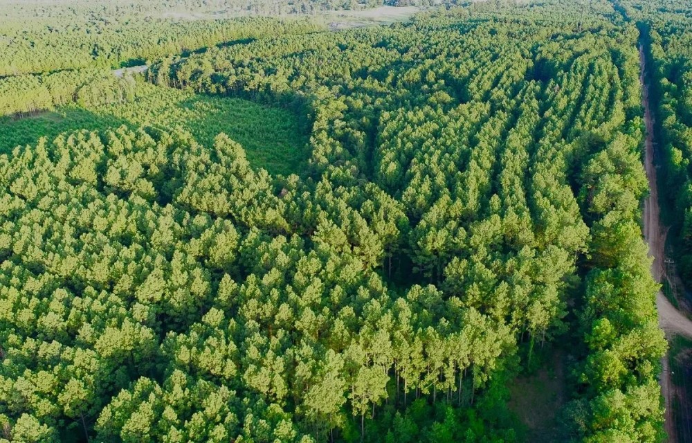 10 Acres T-14A Hickman Rd. featured image