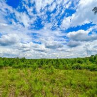 10 Acres T-14A Hickman Rd. images 2