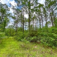 10 Acres T-14A Hickman Rd. images 3