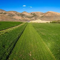 Nieslanik Ranch images 4