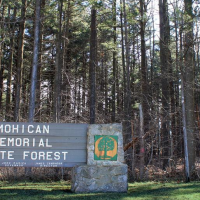 Mohican-Memorial State Forest 1,110 Acres of Turkey Hunting in Ashland, OH images 3
