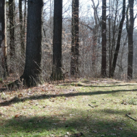 Mohican-Memorial State Forest 1,110 Acres of Turkey Hunting in Ashland, OH images 2