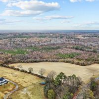 Vacant Lots for Sale in Nashville NC - 111.2 AC