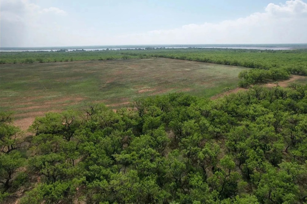 New Listing 100 - Acres Jones County featured image