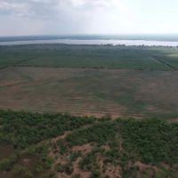 New Listing 100 - Acres Jones County images 2