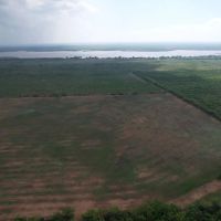 New Listing 100 - Acres Jones County images 4