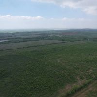 New Listing 100 - Acres Jones County images 5