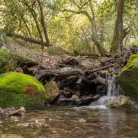 Rancho Santa Rosa images 3