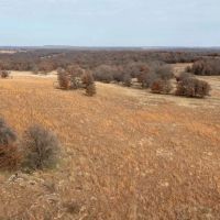 Pawhuska 510 Acres images 3