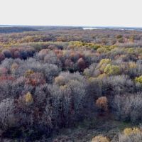 Grand Lake at Disney