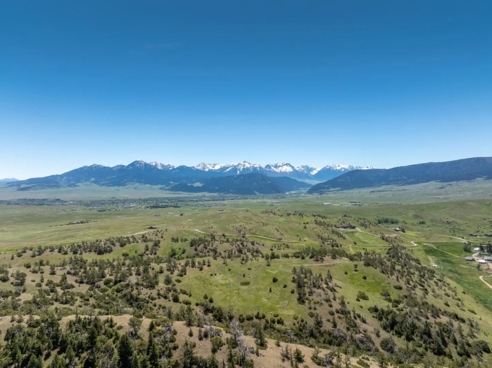 50 Acres of Amazing Hunting Recreational Residential Use LAND featured image